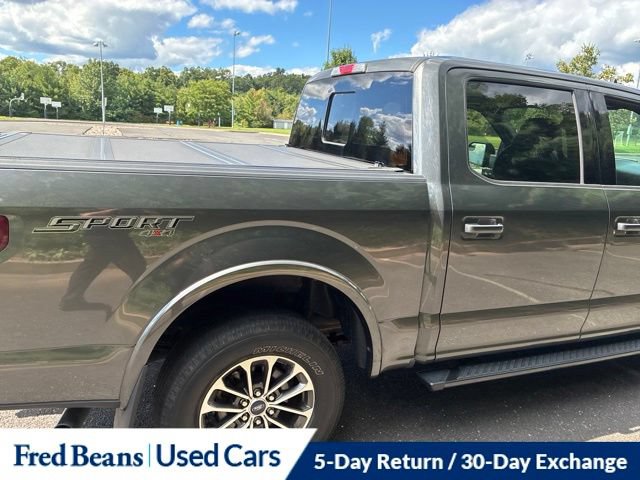 Used 2019 Ford F150 XLT w/ Equipment Group 302A Luxury AWD/4WD image 18