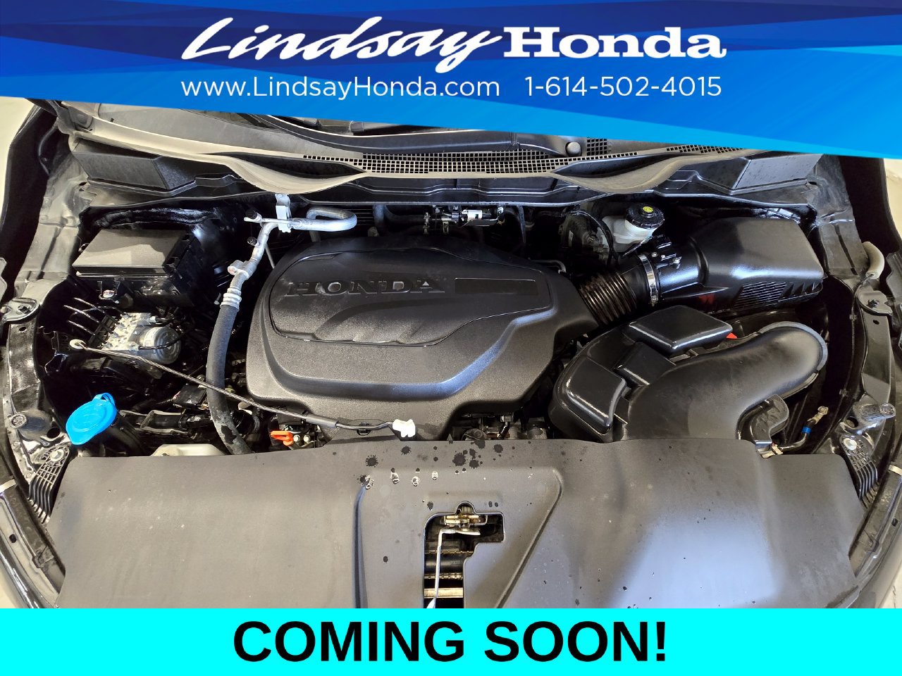 Used 2025 Honda Odyssey Elite image 25