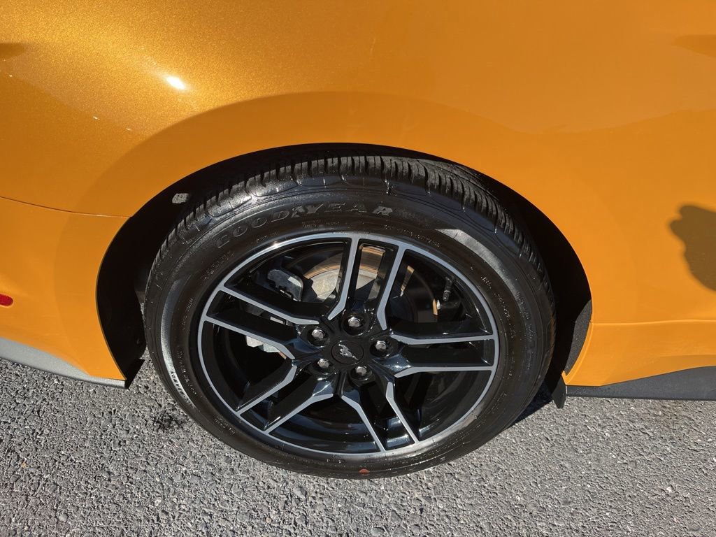 Used 2022 Ford Mustang Coupe w/ Equipment Group 101A image 10