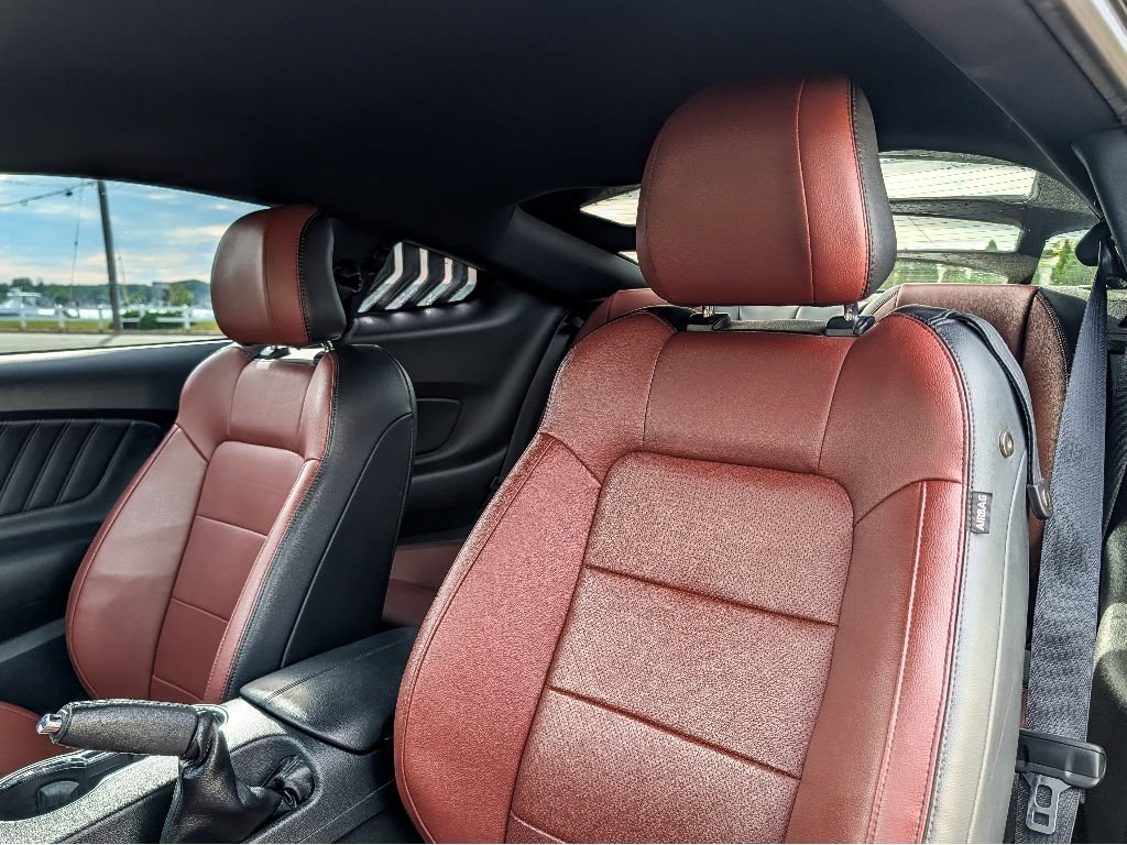 Used 2015 Ford Mustang GT Premium RWD image 14