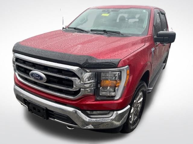 Used 2021 Ford F150 XLT w/ Equipment Group 302A High image 4