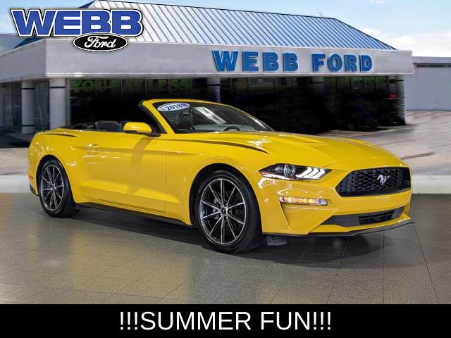 Used 2018 Ford Mustang Premium w/ Equipment Group 201A