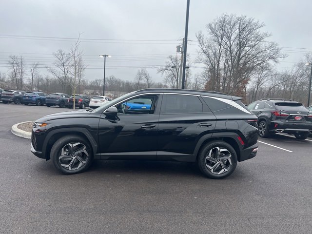 Used 2024 Hyundai Tucson SEL image 3