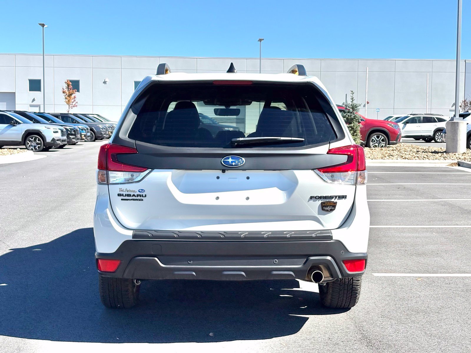 Certified 2025 Subaru Forester Wilderness w/ Wilderness Package AWD/4WD image 8