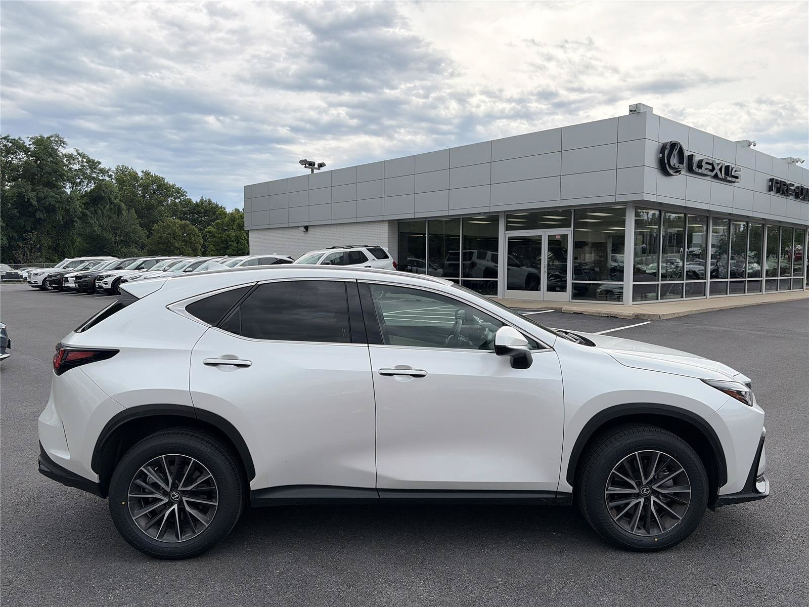 Certified 2024 Lexus NX 350 AWD image 6