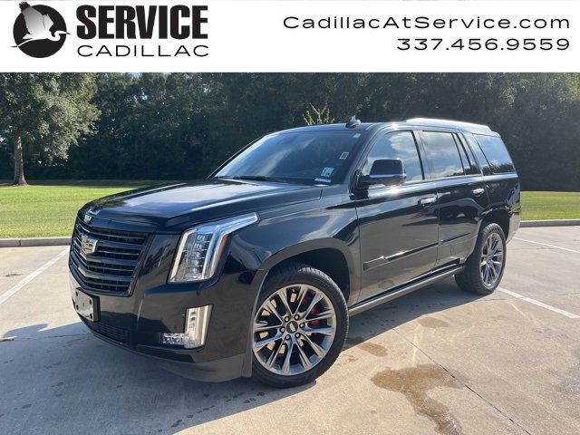 Used 2020 Cadillac Escalade Platinum image 1