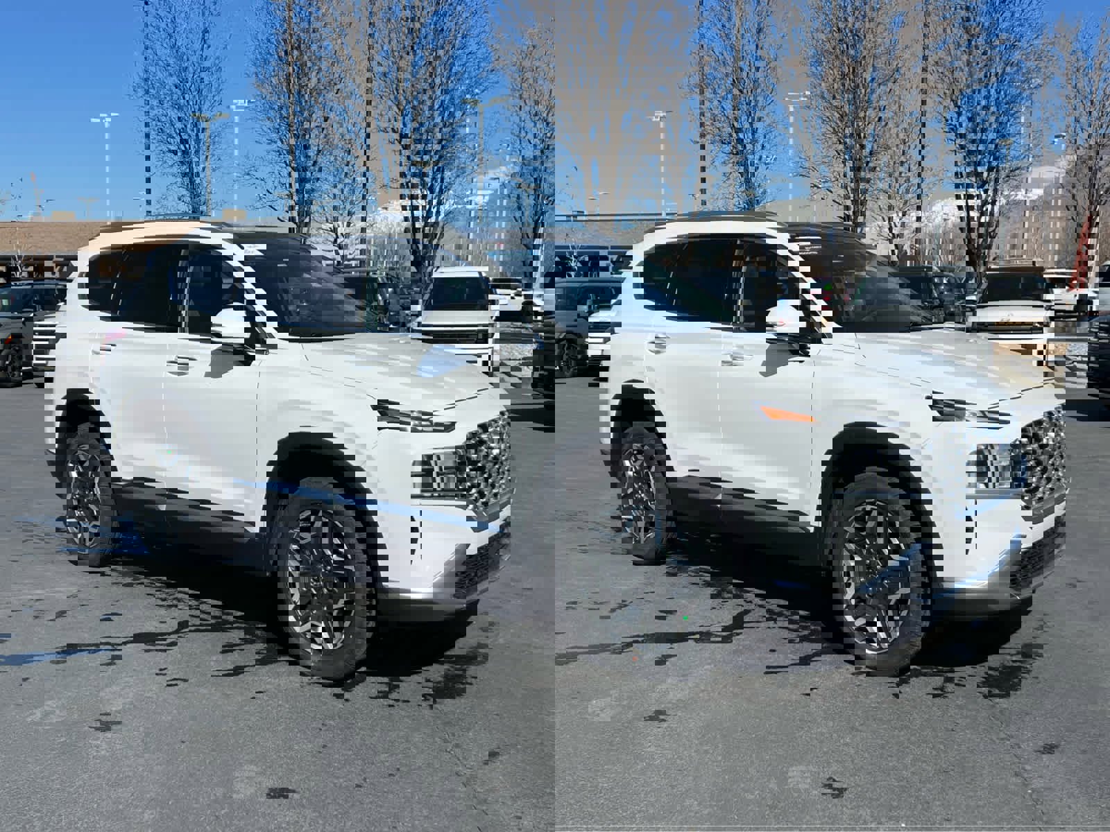 Used 2022 Hyundai Santa Fe SEL Premium image 5