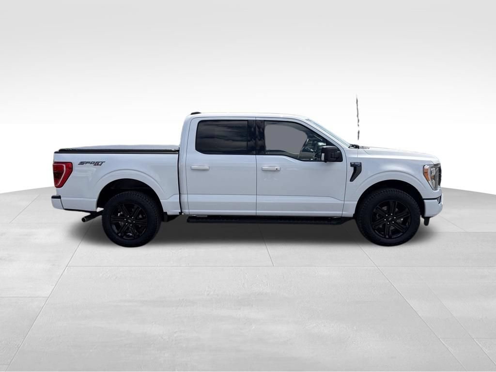 Used 2023 Ford F150 XLT w/ Equipment Group 302A High AWD/4WD image 26