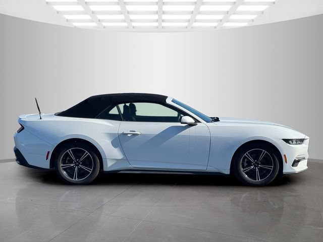 Used 2025 Ford Mustang Premium RWD image 8