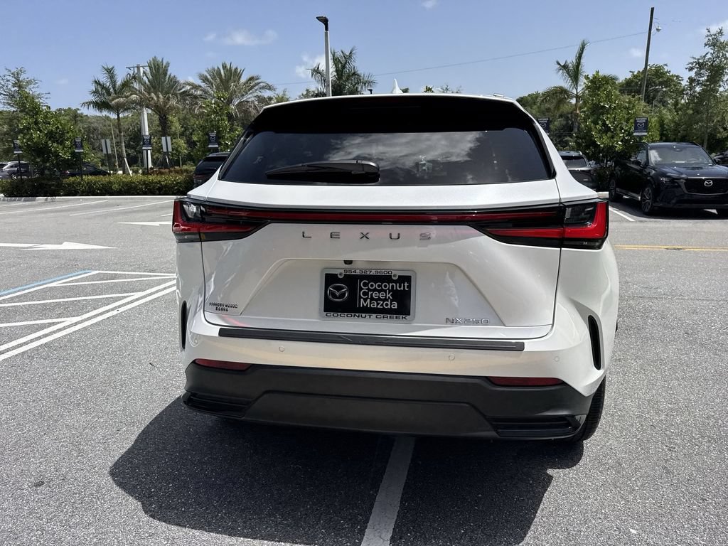 Used 2024 Lexus NX 250 FWD image 25