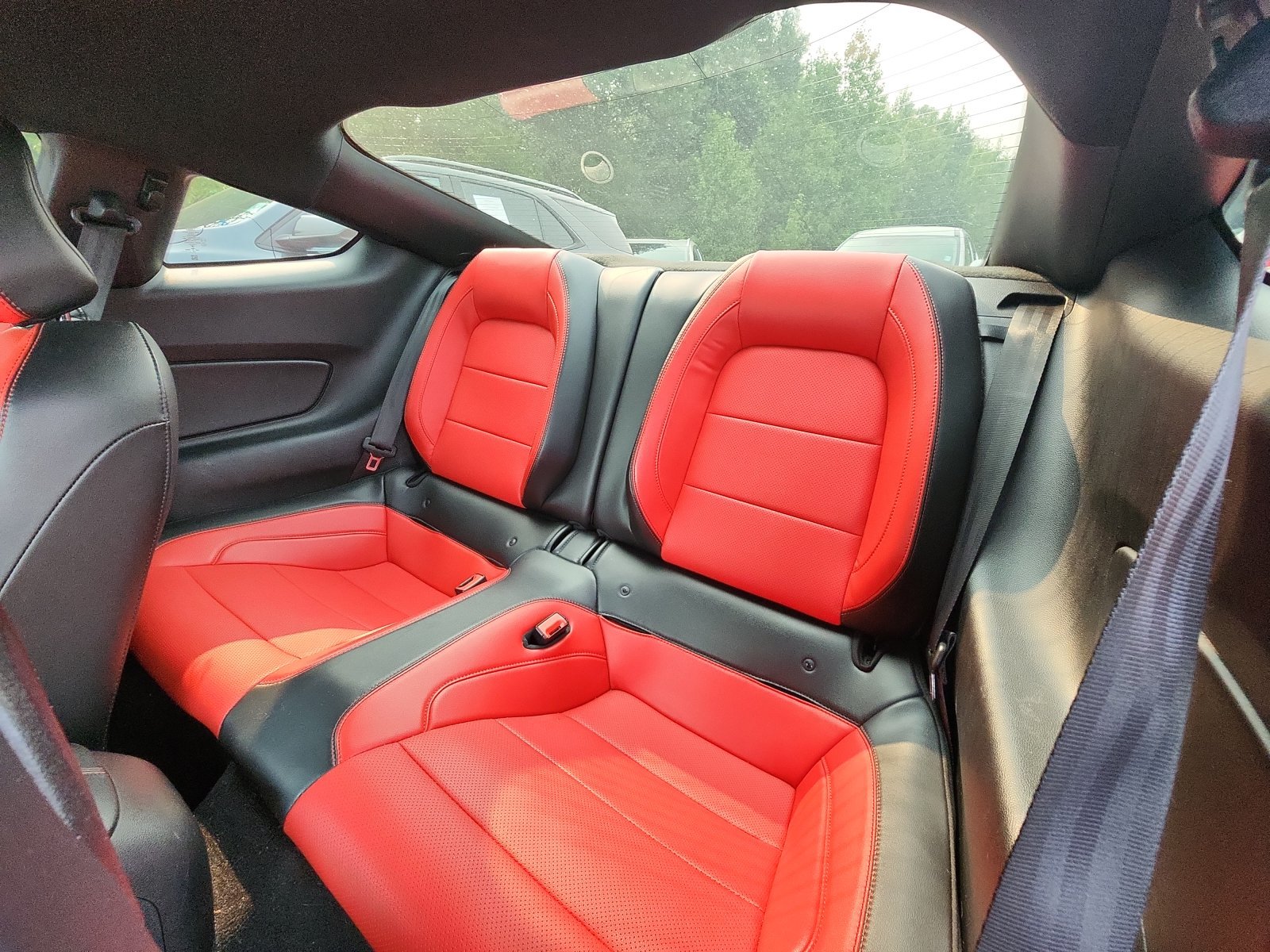 Used 2019 Ford Mustang Premium w/ Equipment Group 201A RWD image 19