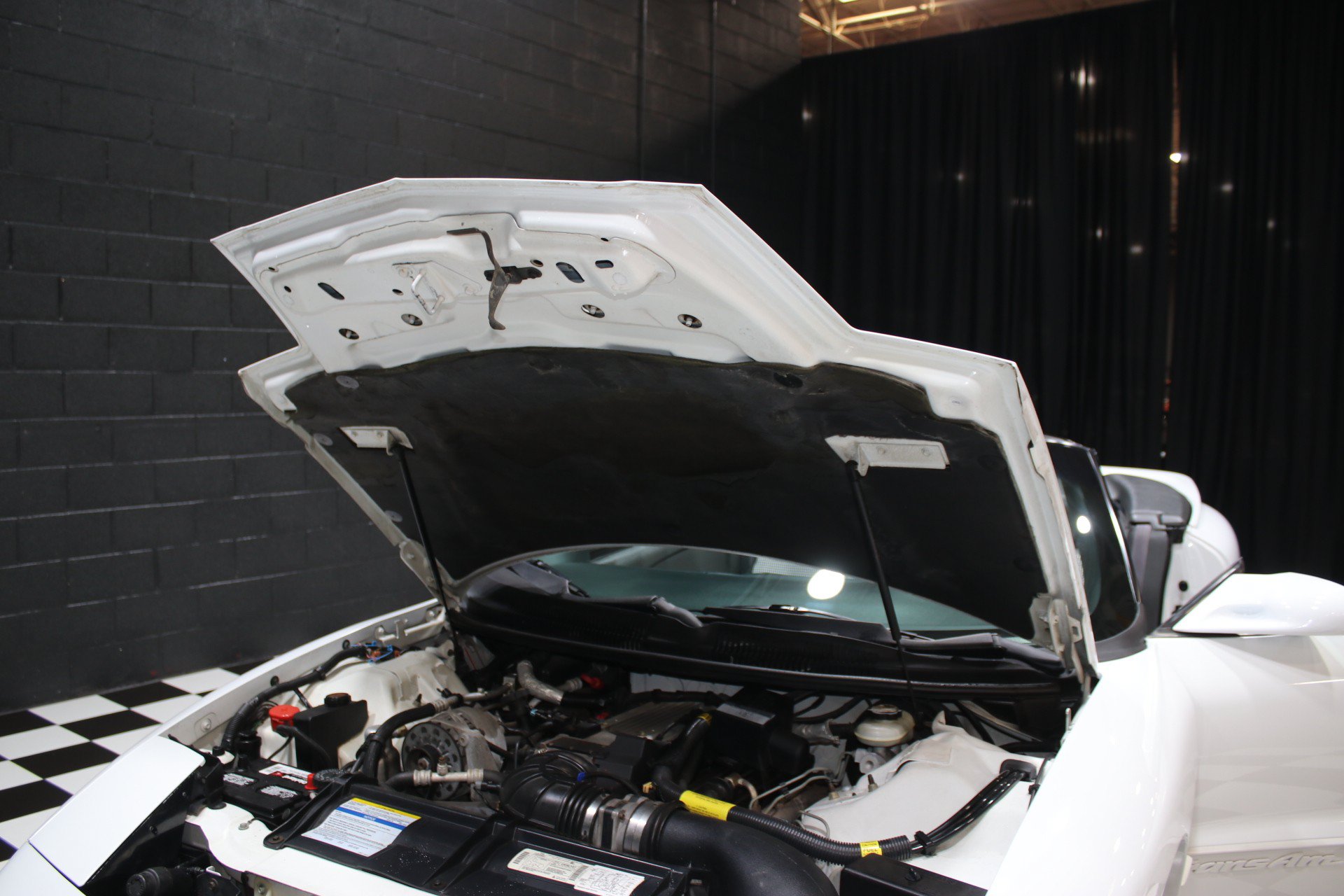 Used 1997 Pontiac Firebird Trans Am RWD image 85