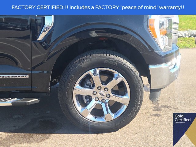 Used 2023 Ford F150 XLT w/ Equipment Group 302A High AWD/4WD image 6
