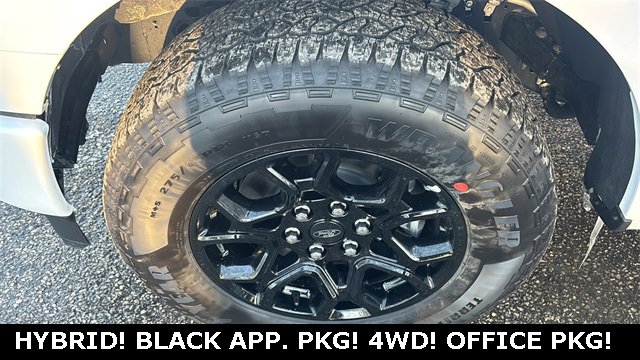 New 2025 Ford F150 XLT w/ Equipment Group 302A MID image 32