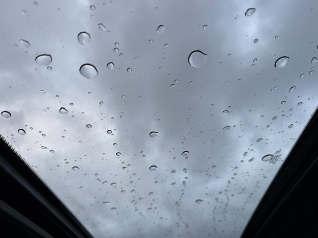 New 2026 Nissan Frontier PRO-4X w/ Pro Premium Package image 28