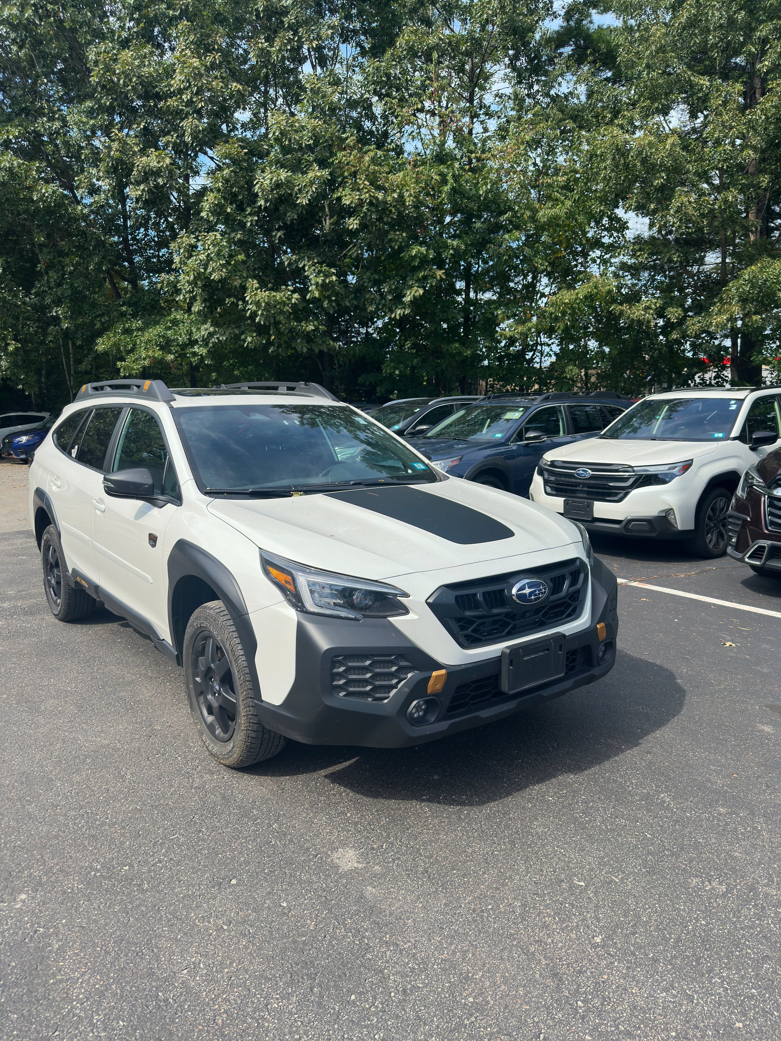 Used 2024 Subaru Outback Wilderness AWD/4WD image 3