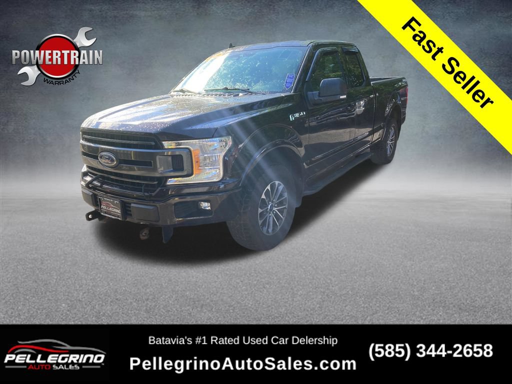 Used 2019 Ford F150 XLT w/ Equipment Group 302A Luxury AWD/4WD video 1