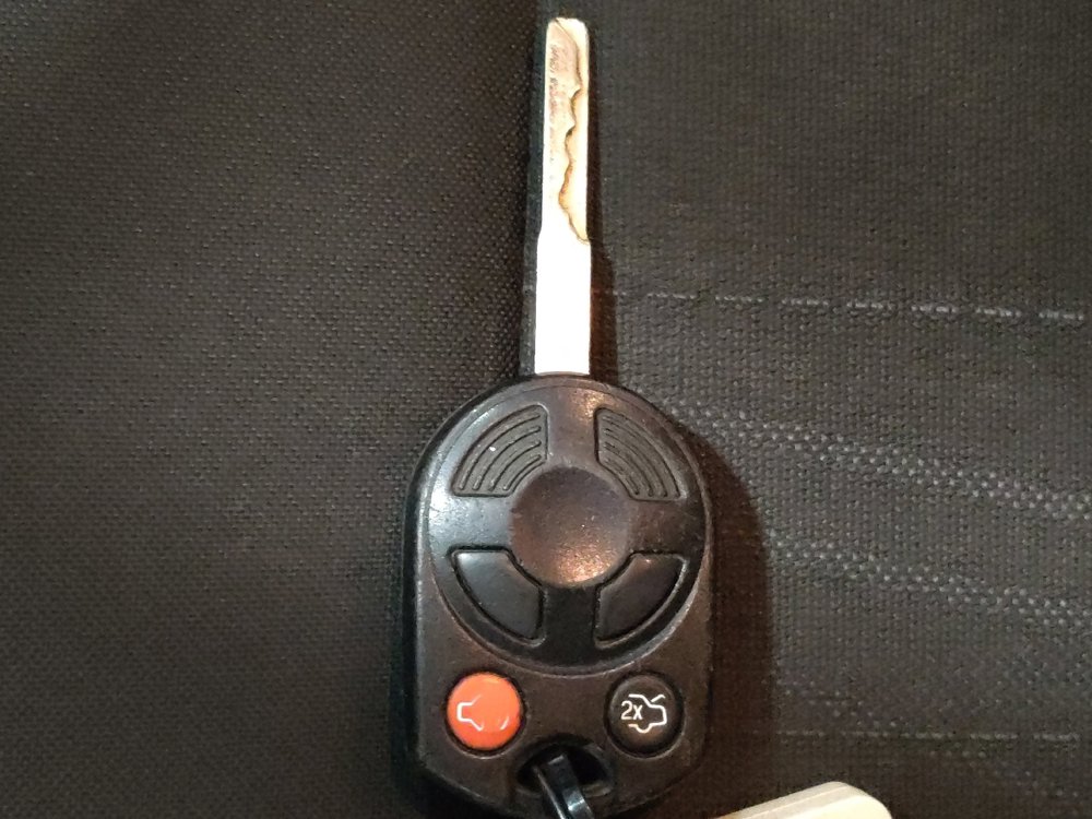 Used 2015 Ford Focus SE w/ SE Sport Package image 32