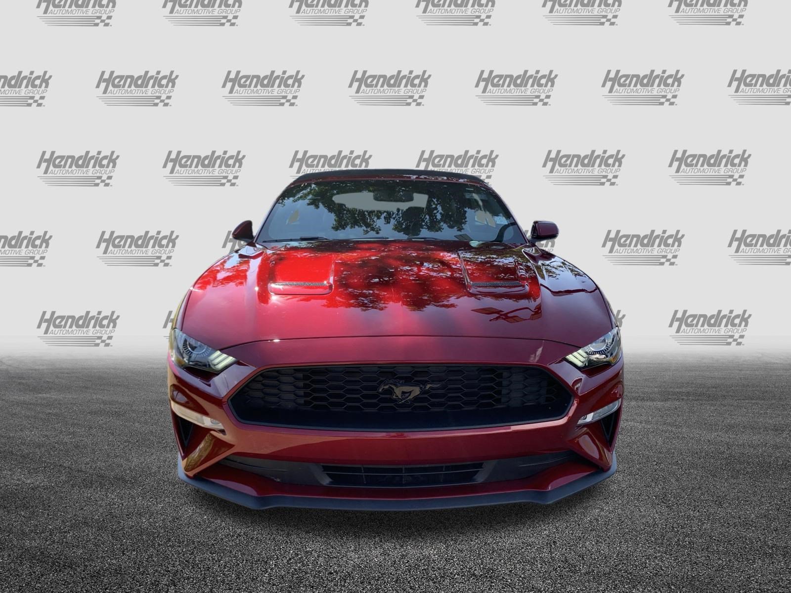 Used 2019 Ford Mustang Premium w/ Equipment Group 201A RWD image 3