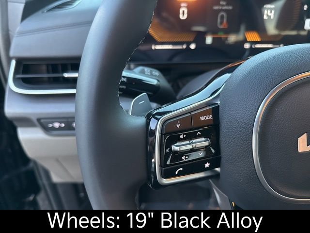 Certified 2026 Kia Carnival EX image 24