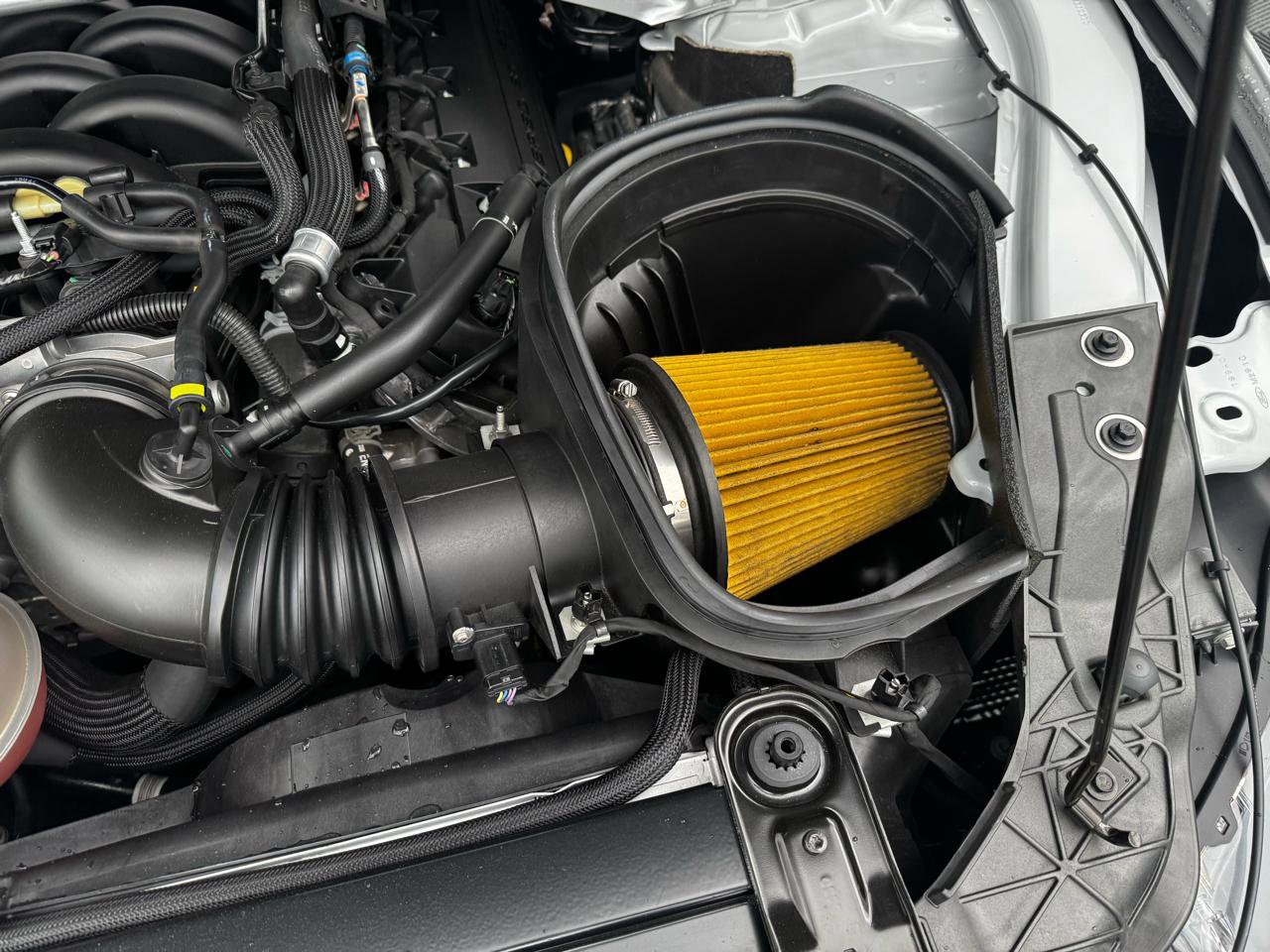 Used 2017 Ford Mustang Shelby GT350 RWD image 27