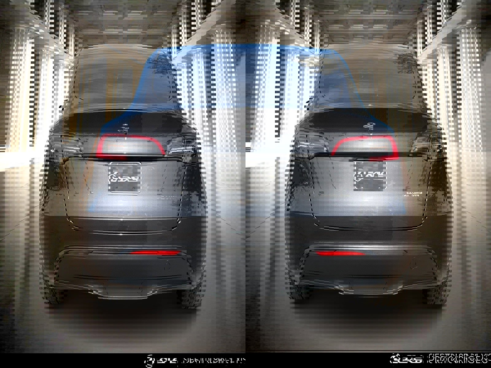 Used 2025 Tesla Model Y Long Range image 6