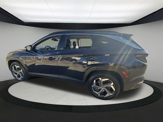 Used 2023 Hyundai Tucson Limited image 13