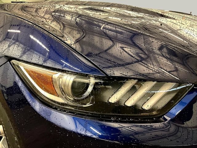 Used 2015 Ford Mustang 50 Years RWD image 27