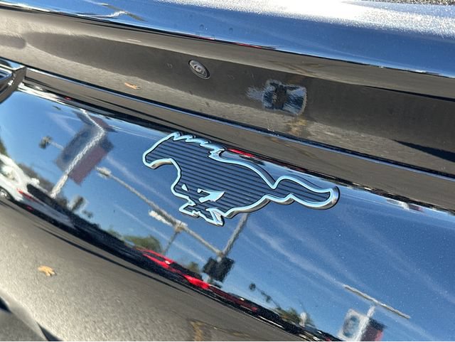 New 2026 Ford Mustang Mach-E Premium w/ Technology Package RWD image 36