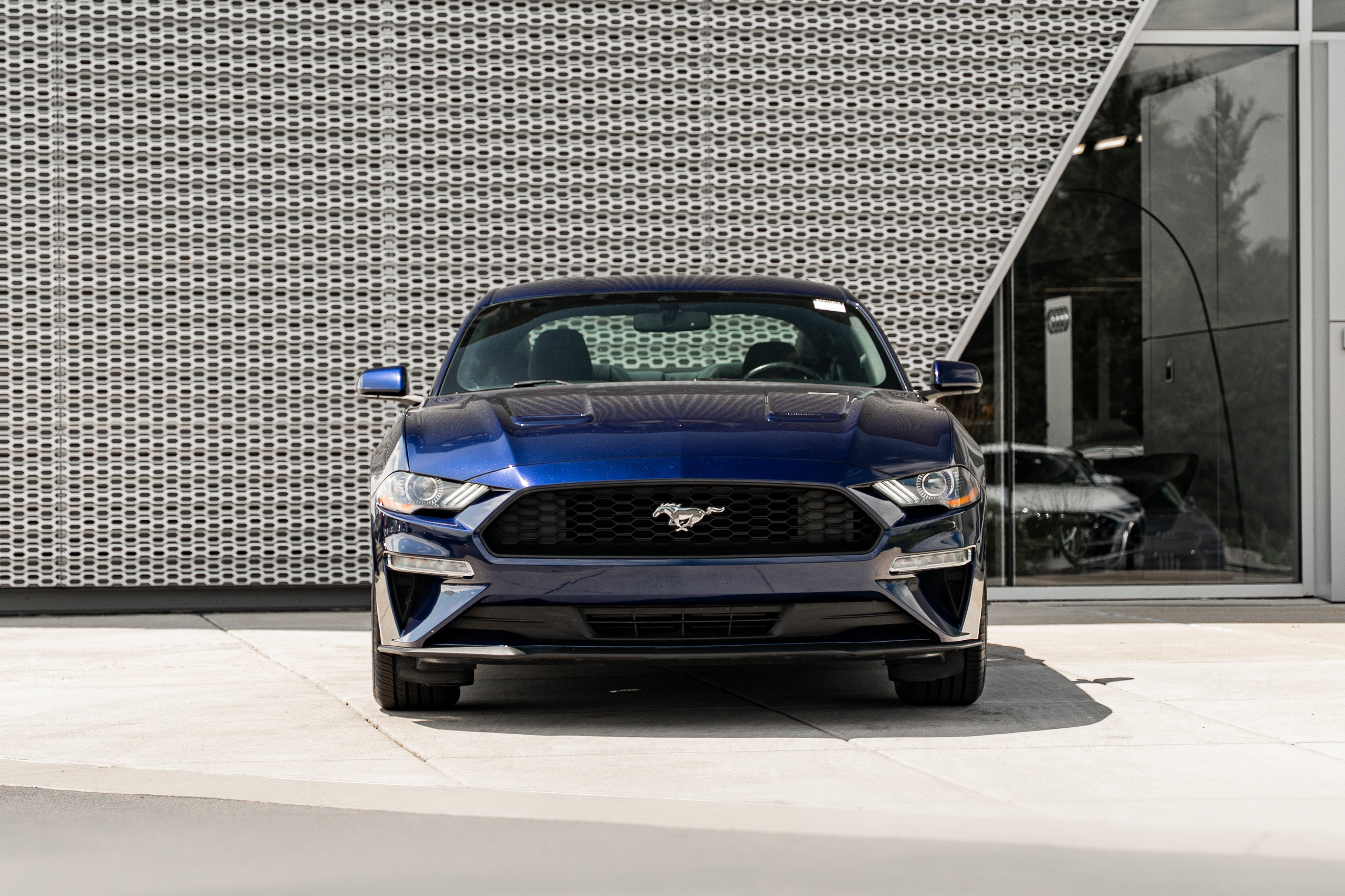 Used 2018 Ford Mustang Coupe w/ Equipment Group 101A RWD image 36