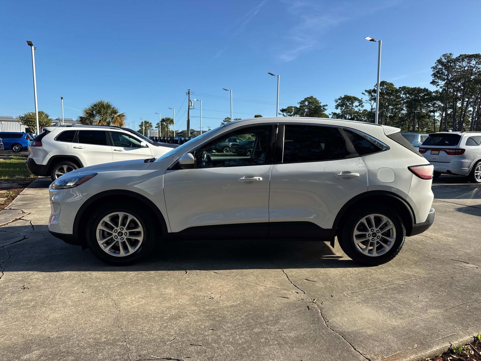 Used 2020 Ford Escape SE image 6