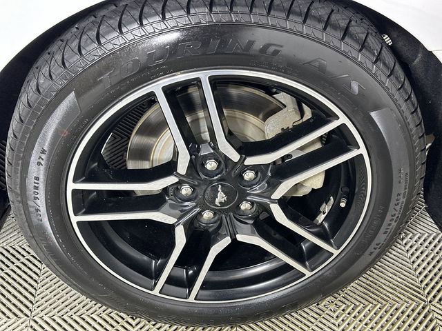 Used 2019 Ford Mustang Premium w/ Equipment Group 201A RWD image 34