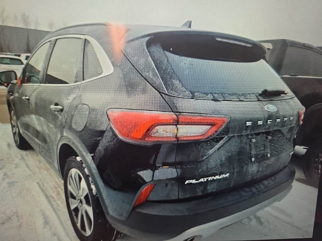 Used 2023 Ford Escape Platinum image 4