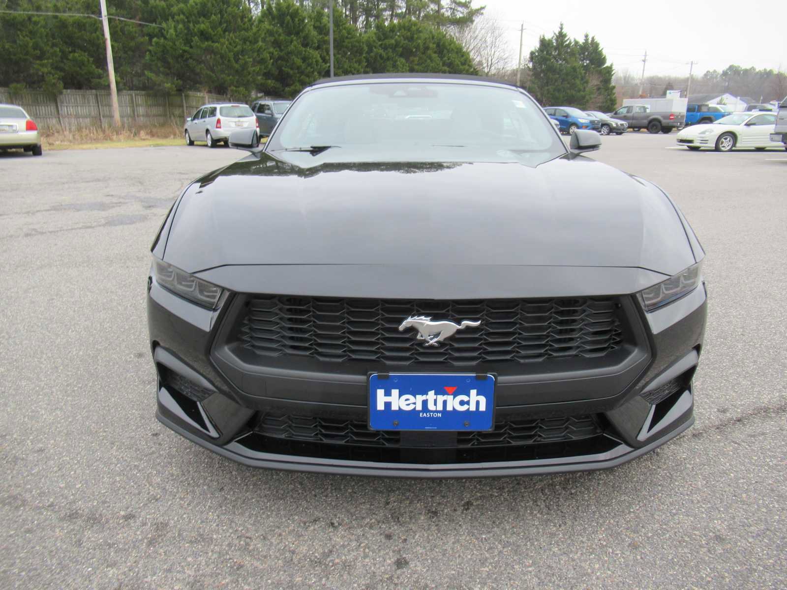 New 2026 Ford Mustang Premium RWD image 2