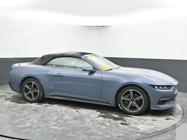 Used 2024 Ford Mustang Premium image 2