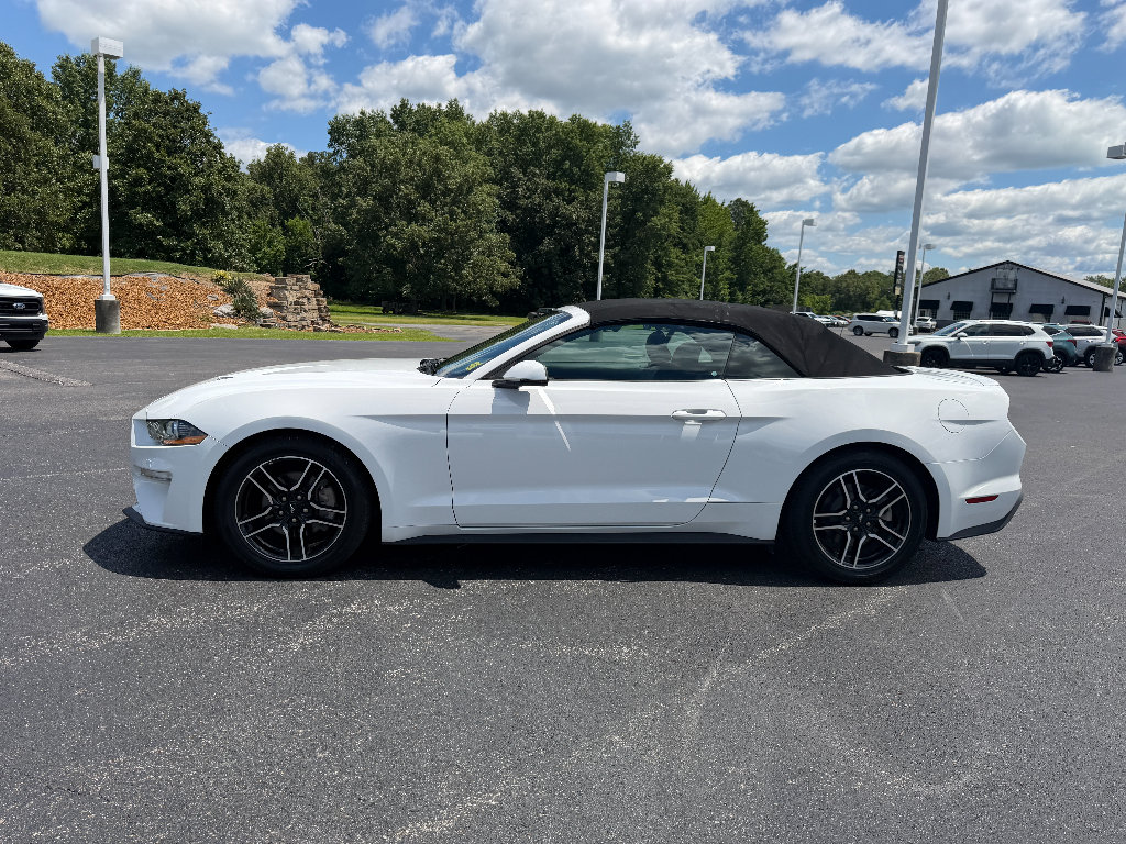 Used 2018 Ford Mustang Premium RWD image 11