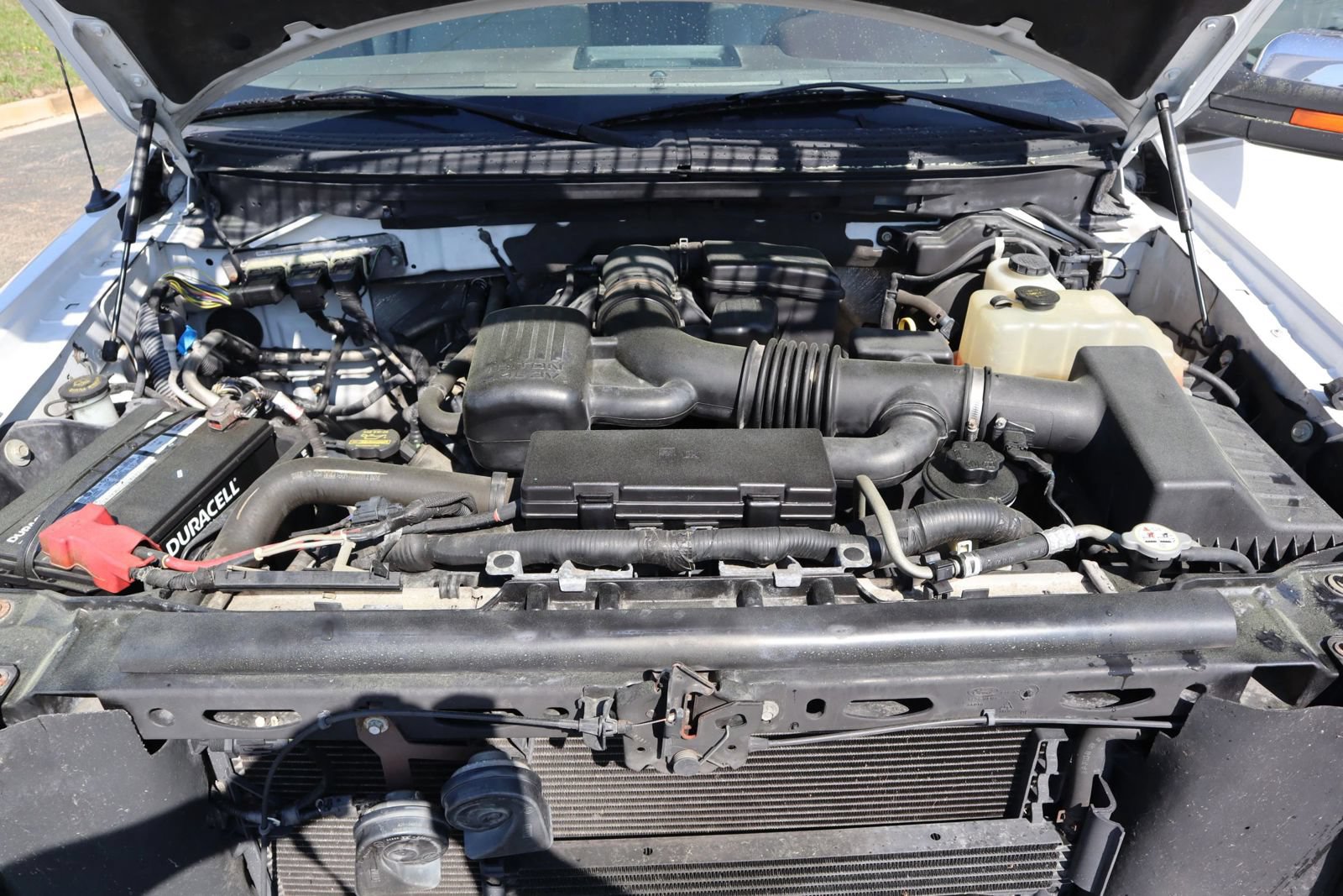 Used 2010 Ford F150 Platinum AWD/4WD image 33