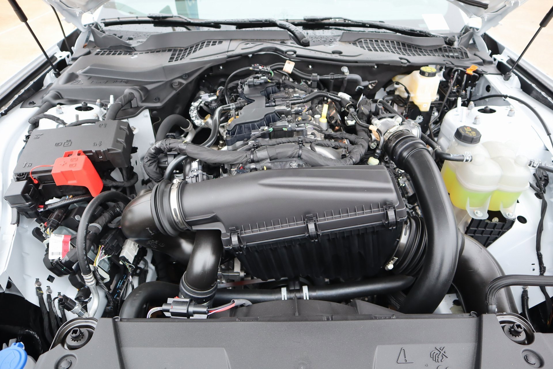 New 2025 Ford Mustang Coupe image 19