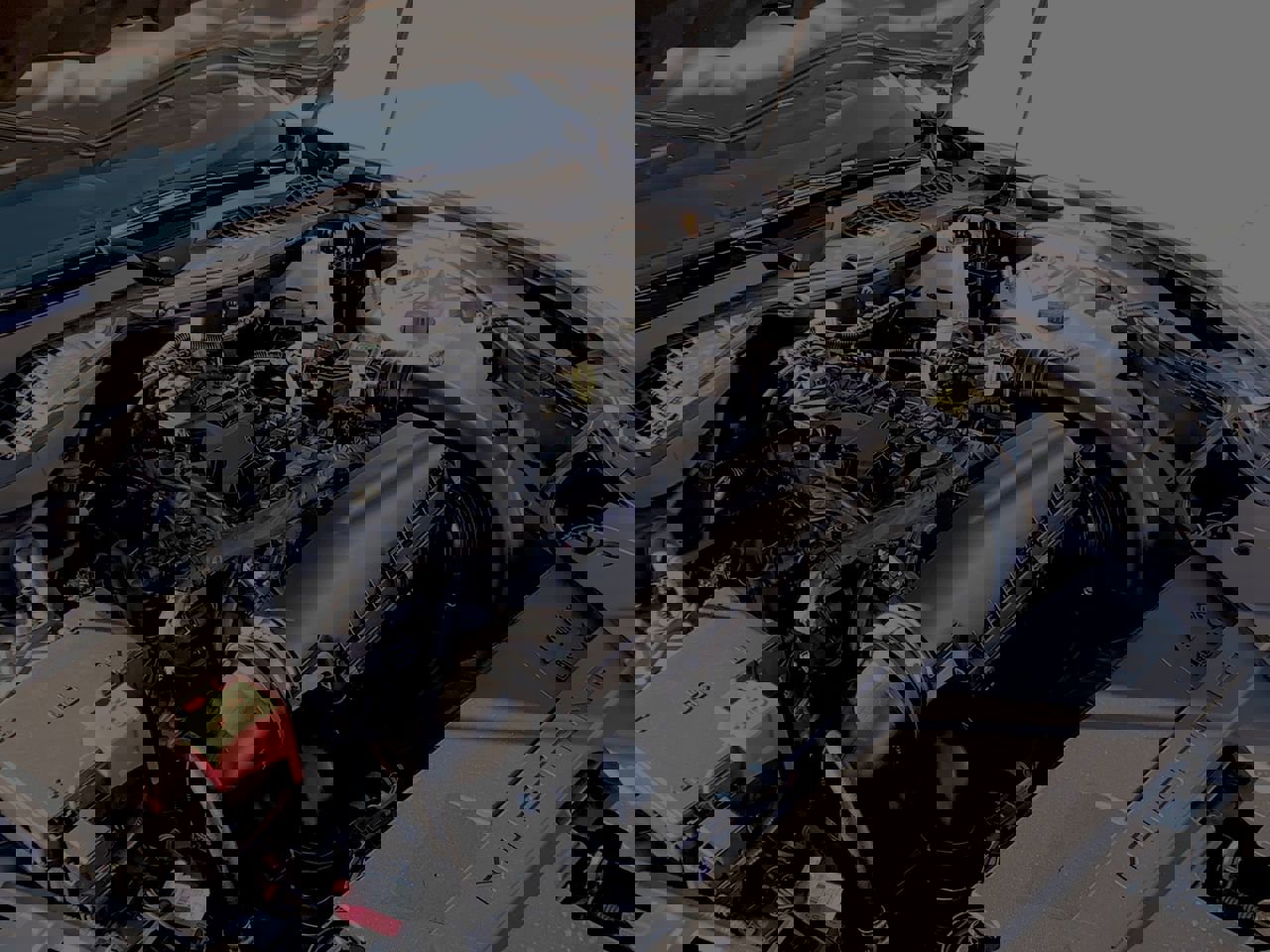 New 2025 Ford Mustang Coupe w/ Mustang Nite Pony Package image 19