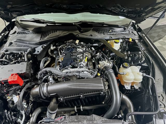 Used 2024 Ford Mustang Premium RWD image 29