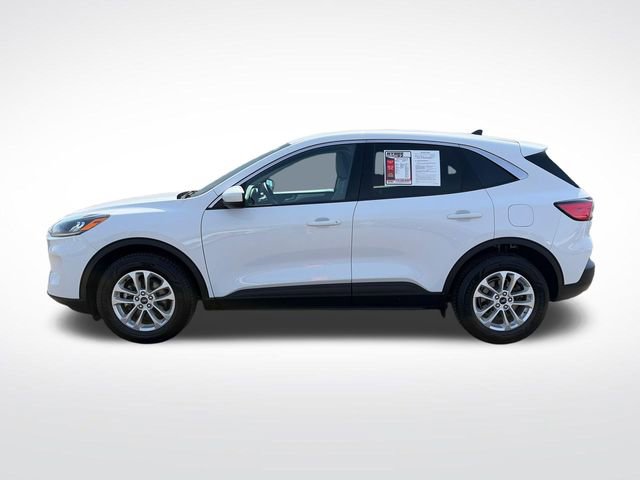 Used 2020 Ford Escape SE AWD/4WD image 4