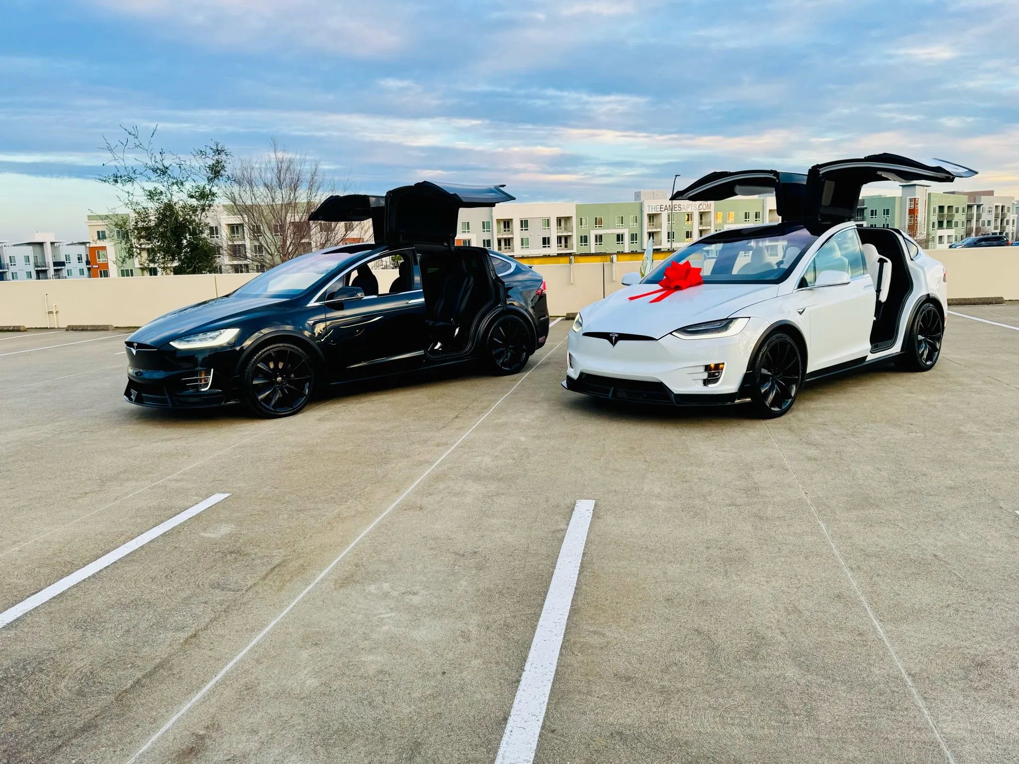 Used 2020 Tesla Model X Long Range image 13