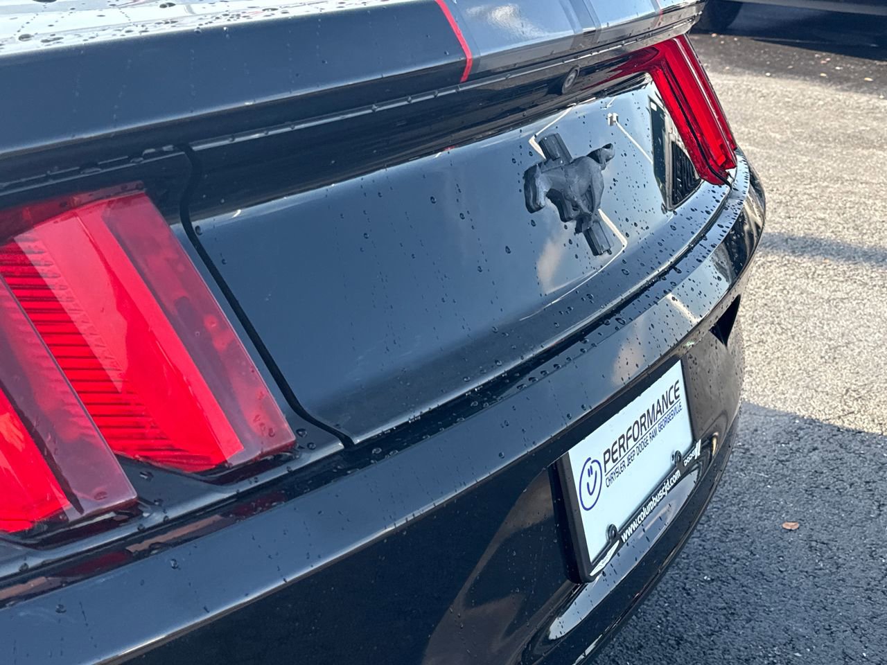 Used 2016 Ford Mustang Coupe image 10