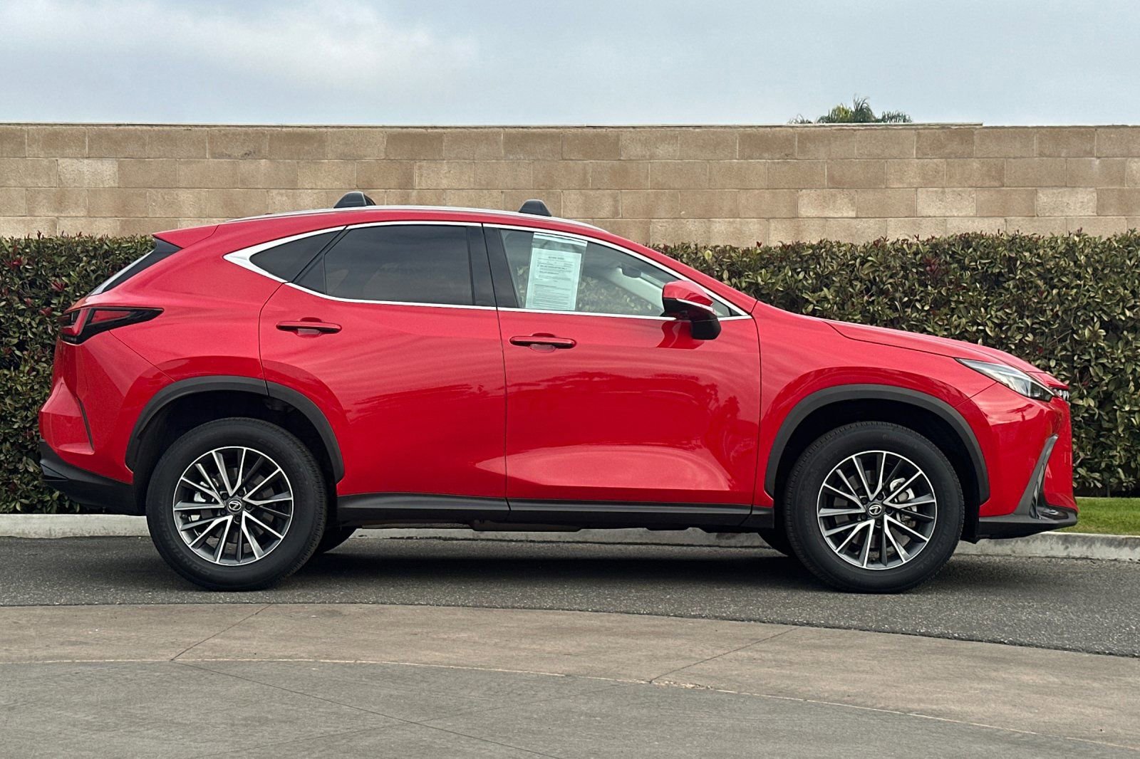 Used 2024 Lexus NX 350h AWD w/ Premium Package image 3