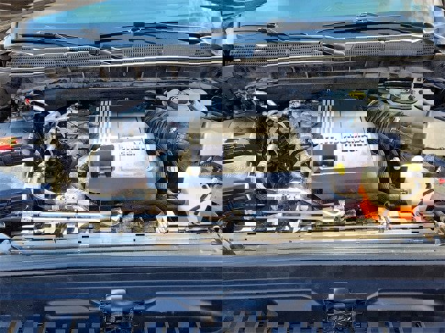 Used 2021 GMC Sierra 1500 Elevation image 19