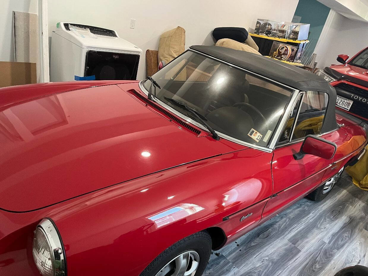 Used 1988 Alfa Romeo Spider Graduate image 3