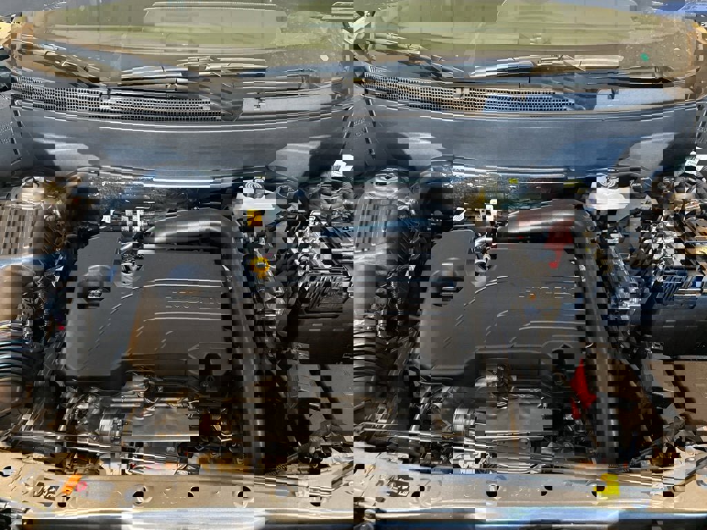 New 2026 GMC Terrain Elevation w/ Elevation Premium Package image 11