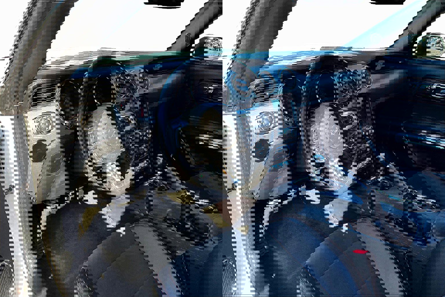 Used 2016 Ford Mustang GT Premium w/ Equipment Group 401A image 12