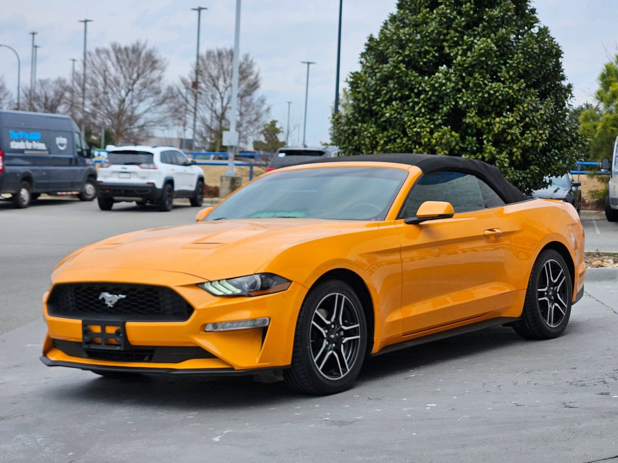 Used 2018 Ford Mustang Premium w/ Equipment Group 201A image 3