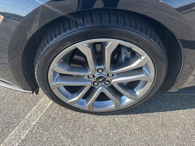 Used 2023 Ford Mustang GT Premium w/ Equipment Group 401A image 8